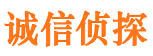 盘龙市侦探